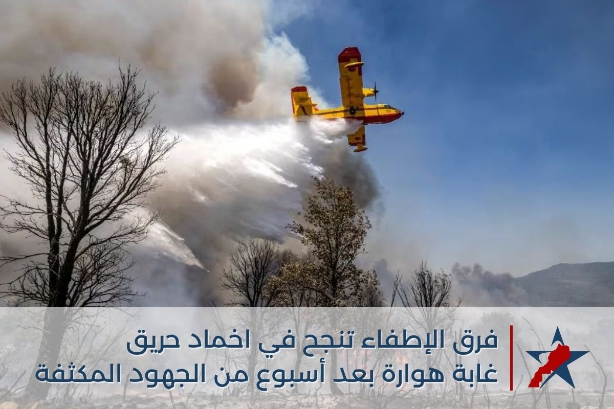فرق الإطفاء تُخمد حريق غابة هوارة بعد أسبوع من الجهود المكثفة